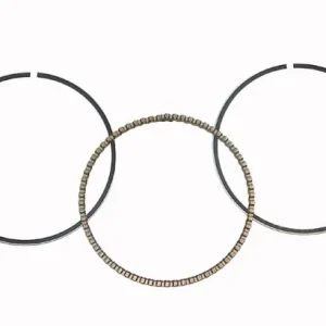 Pierścienie Kawasaki 220 Bayou 1988-2002 51-250-04 Zamów teraz