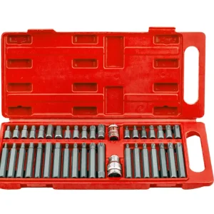Ekspresowa dostawa Zestaw bitów bity torx hex spline 40 sztuk pudełko SILVER